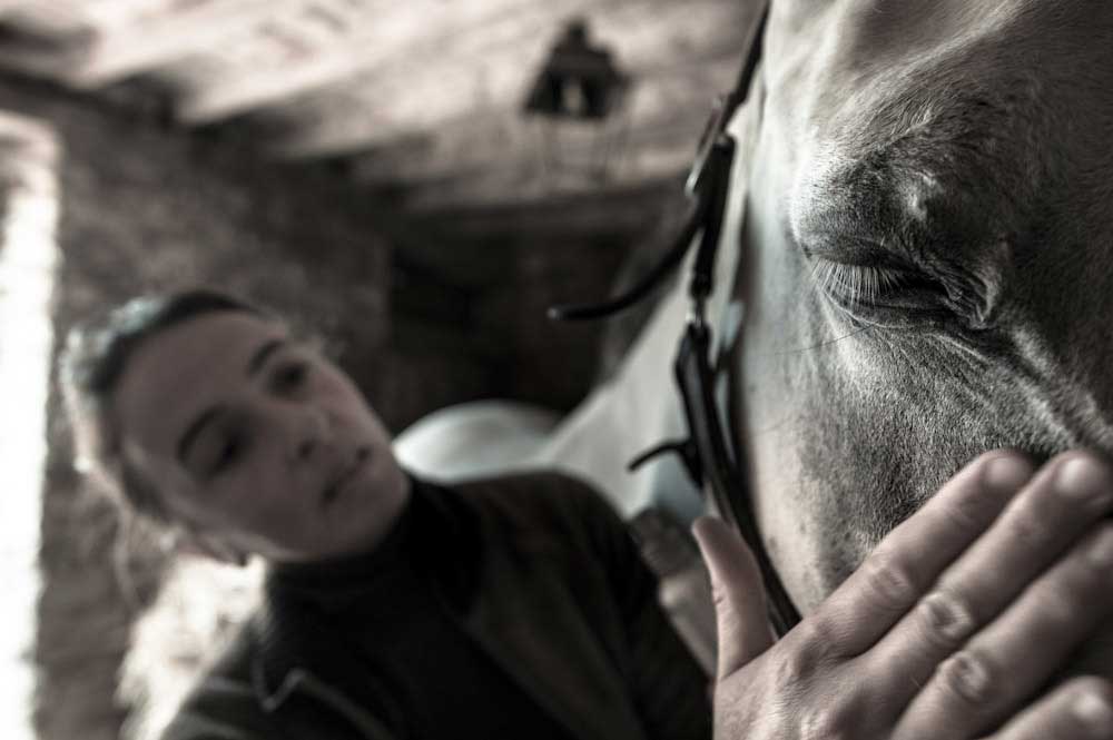 Naturopathie équine - Soins naturels pour les chevaux Naturopathie équine - Soins naturels pour les chevaux